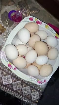 pure Desi egg for sale