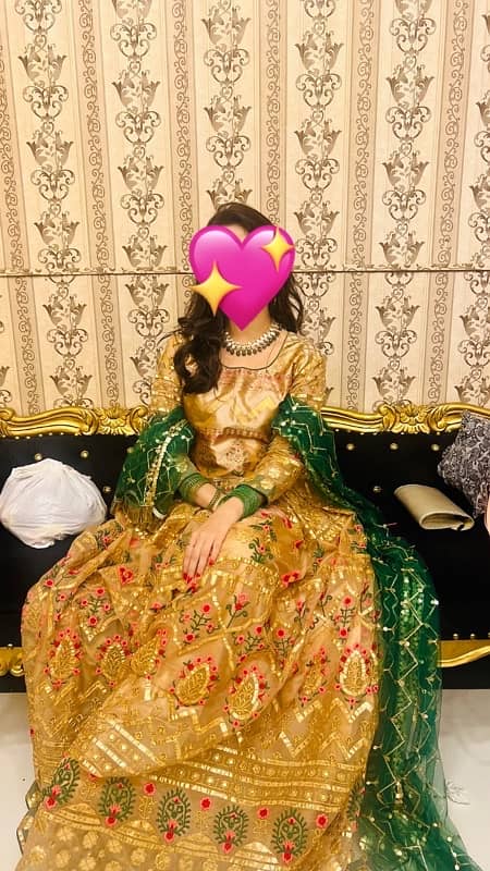 lehnga choli 2