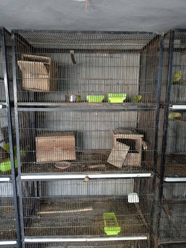 Cages for03004820979 parrots 0