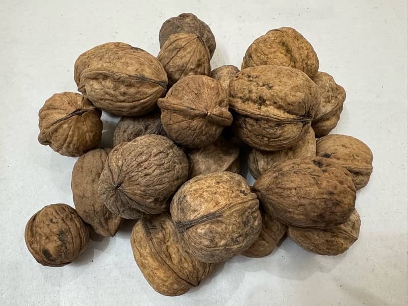 Fresh local walnut 0