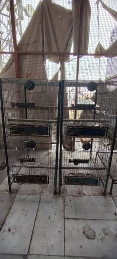 cages and boxes available