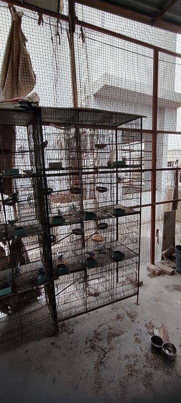 cages and boxes available 4