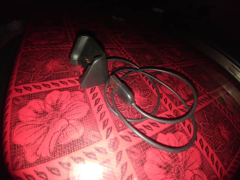 Amazfit bip Charger Original 0