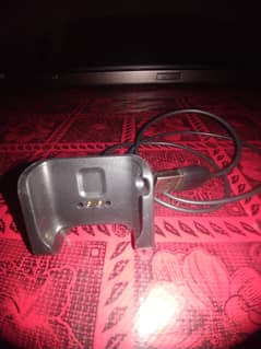 Amazfit bip Charger Original