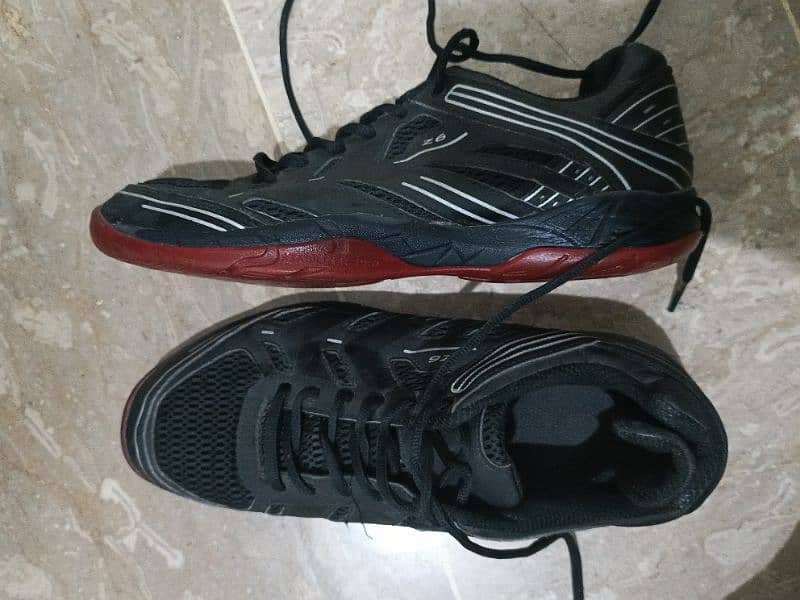 Hummel Z6 | Imported shoes | Badminton | Squash | Non marking 0