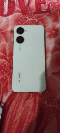 vivo