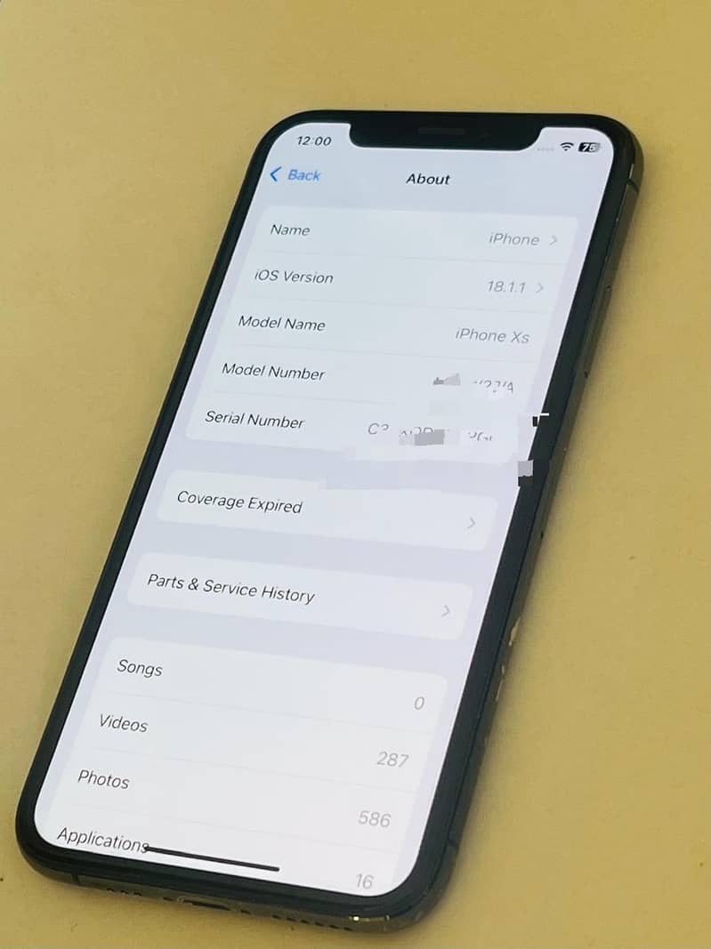 Apple iPhone XS on Service 3