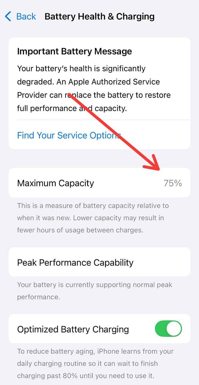 Apple iPhone XS on Service 7