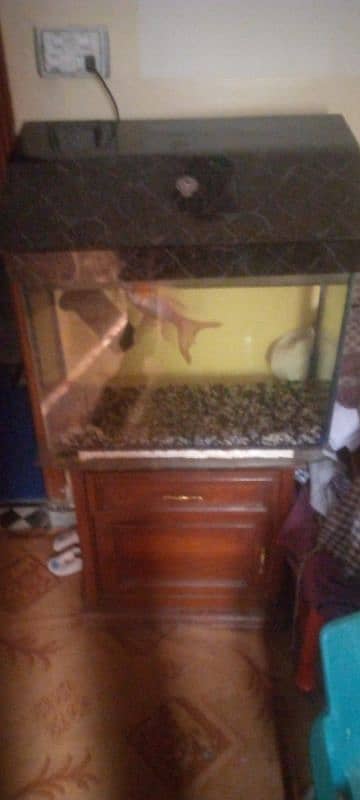 fish tank for sale 0