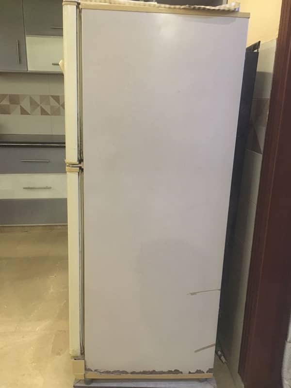 Pel Refrigerator 1