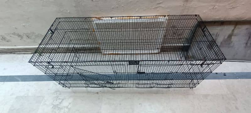 cage for cat birds 0