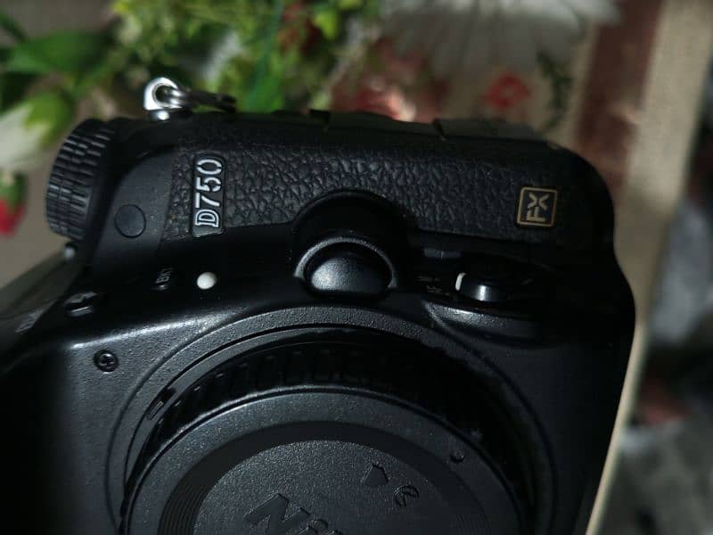 Nikon D750 Camera 4