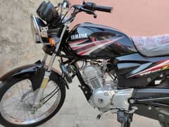 Yamaha YB 125Z 2019