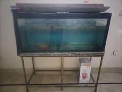 aquarium for sale