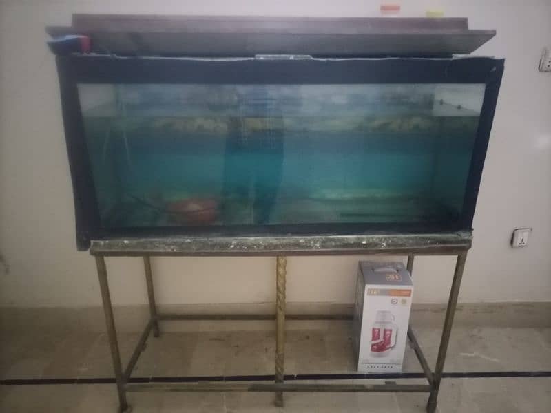 aquarium for sale 0