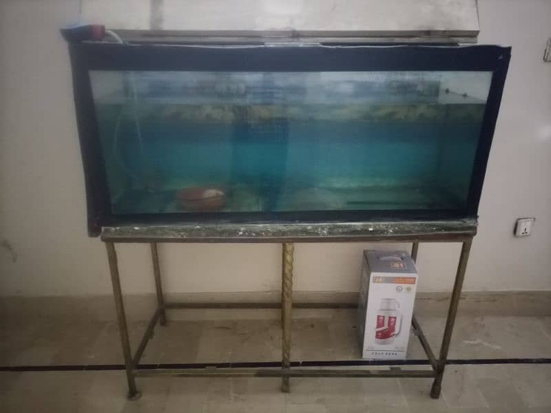 aquarium for sale 1