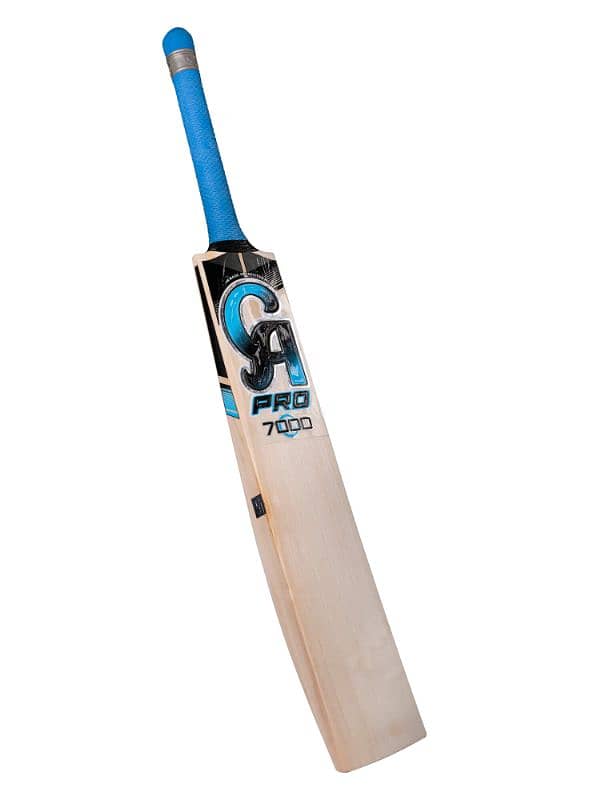 hard ball bat cheapest price 6