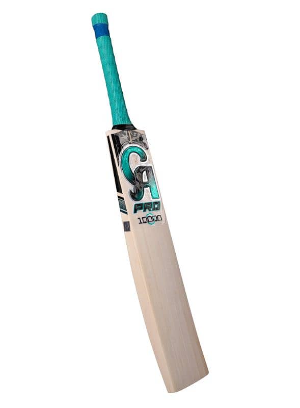 hard ball bat cheapest price 8