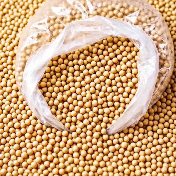 soya beam fresh quality 1kg 1