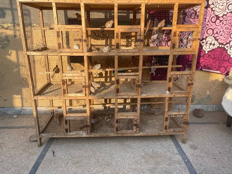 Cage for sale 0