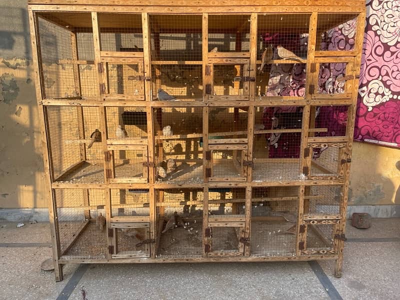 Cage for sale 2