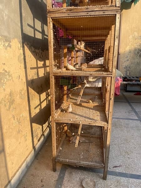 Cage for sale 3