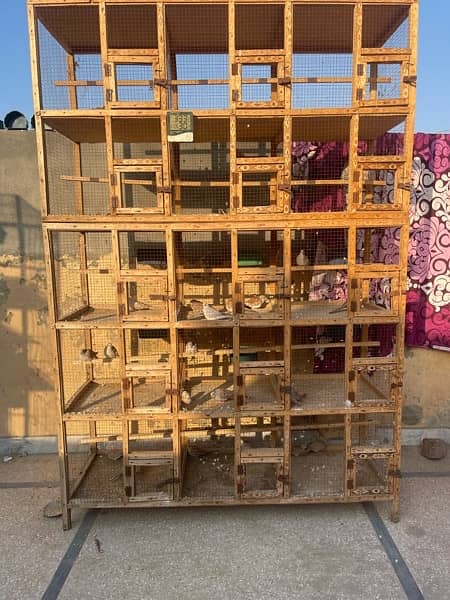 Cage for sale 8