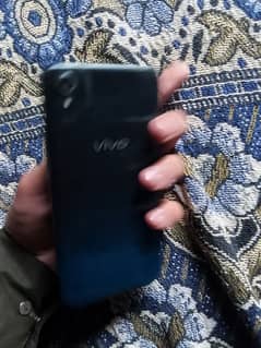 vivo