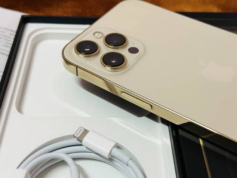 iPhone 12 Pro Max Golden Color 2