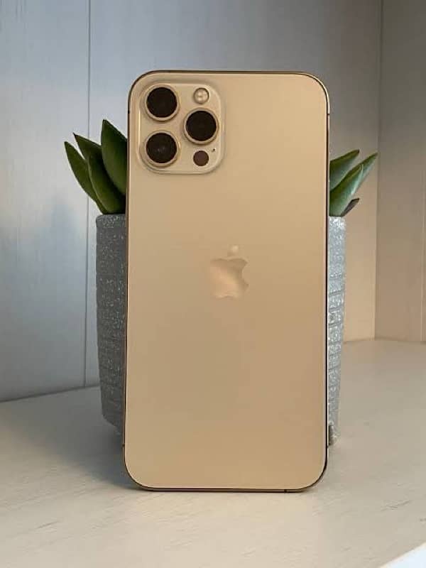 iPhone 12 Pro Max Golden Color 3