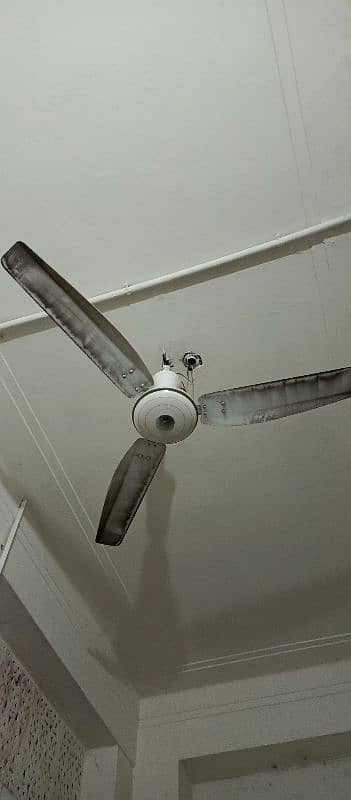 6 celling fans 0