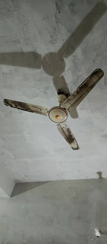 6 celling fans 1