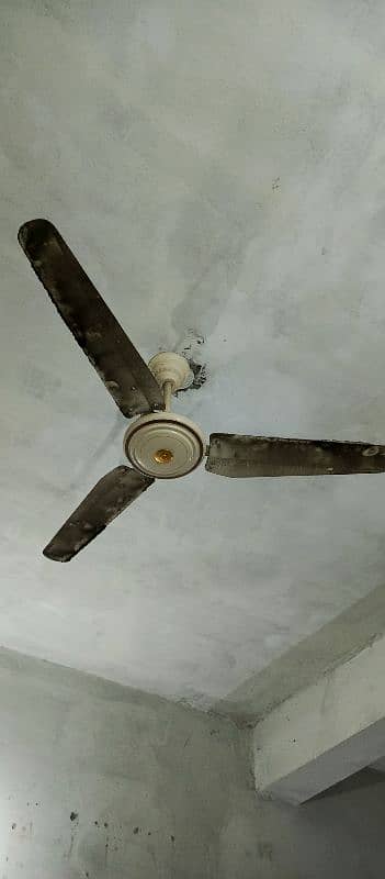 6 celling fans 2