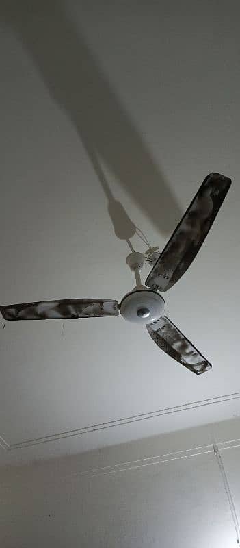 6 celling fans 3