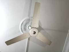 AC Fan