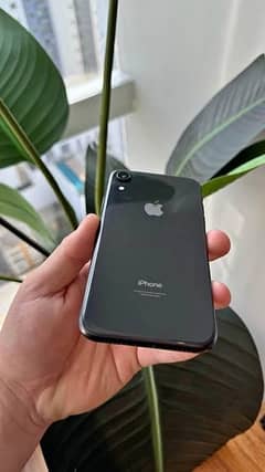 i phone Xr 128gb Pta approved factory unlock