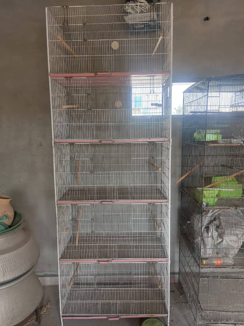 Birds Cages 2