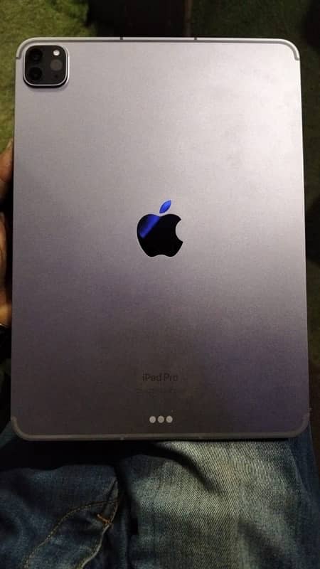 ipad pro m2chip 11"inch 256gb cellular 0