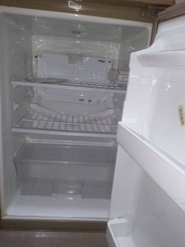 downlane frige lush condition 6