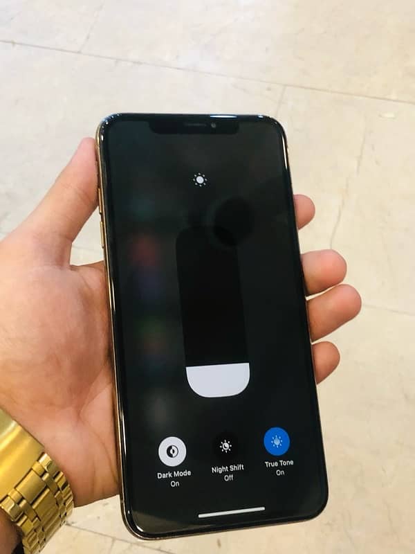 iPhone XS Max 256 pta approved 6