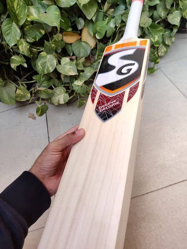 Professional SG Hard Ball Bat 0