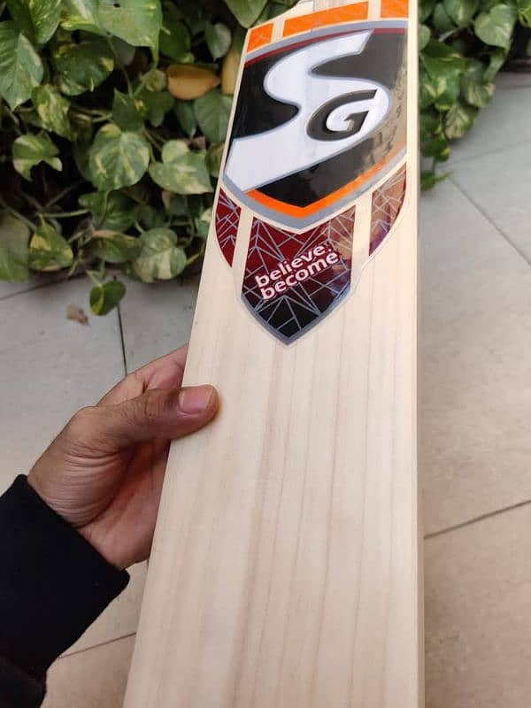 Professional SG Hard Ball Bat 1