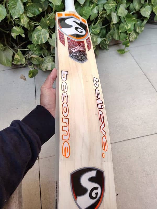 Professional SG Hard Ball Bat 3