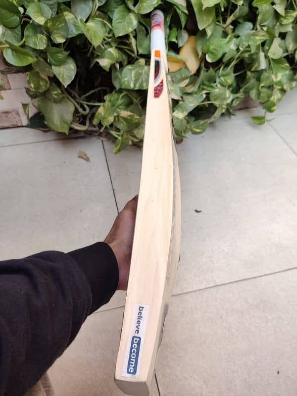 Professional SG Hard Ball Bat 4