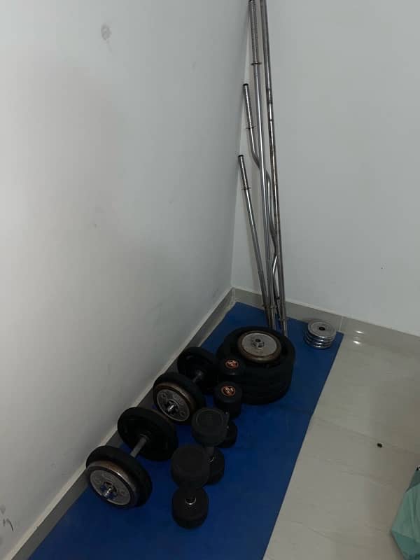 Home Gym setup 1