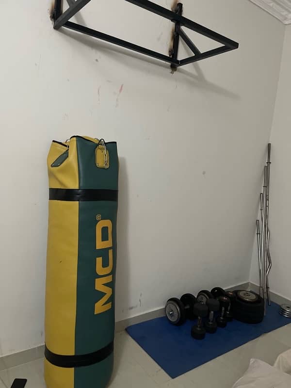 Home Gym setup 2