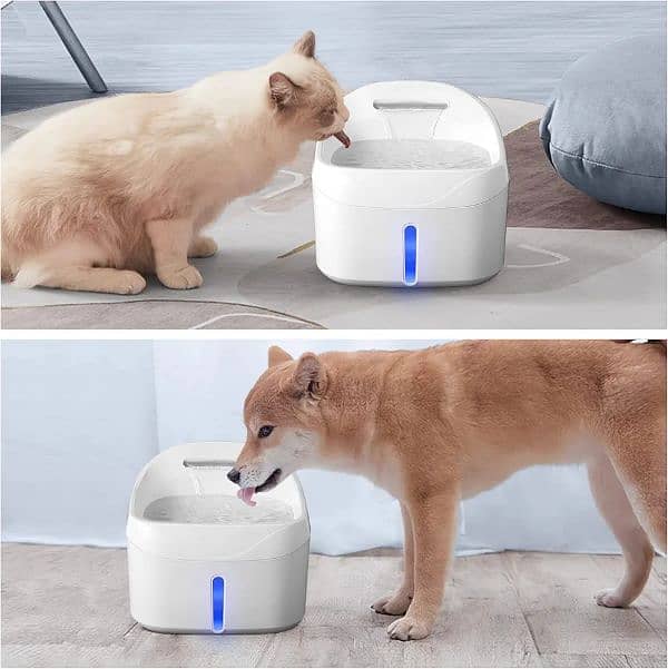 Amazon Branded Cat fountain water fountain pet fountain 6