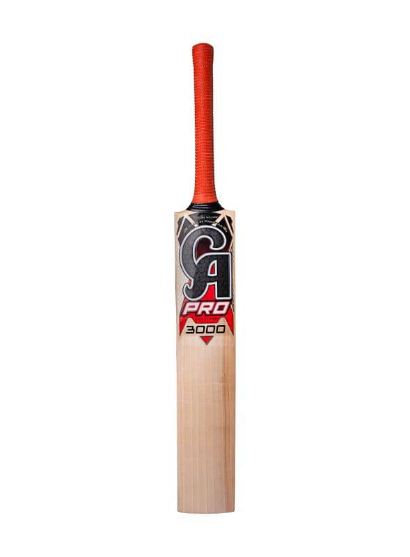 Tape and hard ball bat are available at lowest prices 4