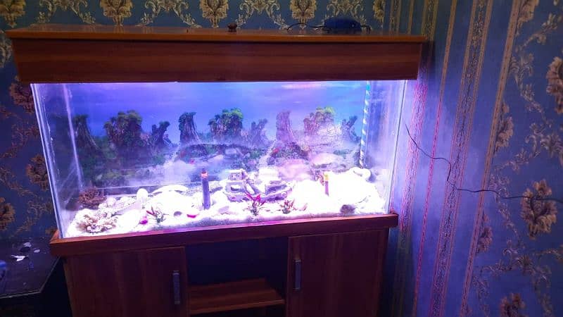 Fish Aquarium with stand for sale 0