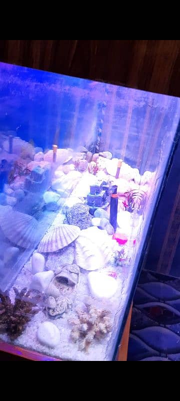 Fish Aquarium with stand for sale 1